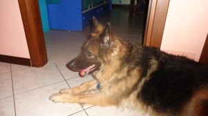 2- 09 08 2014 - LA MALATTIA NELLA BOCCA E' DIVENTATA GRAVE