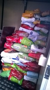 raccolta-alimentare-2