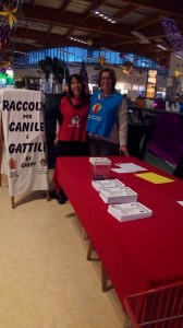 raccolta-alimentare-5