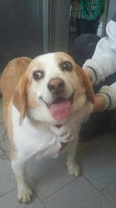 IMG-20170412-WA0052