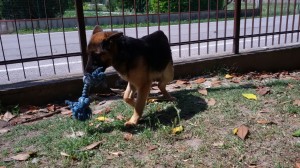IMG-20170511-WA0005