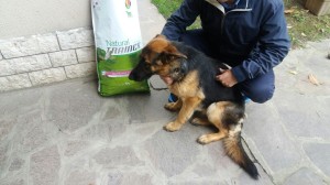IMG-20170511-WA0007