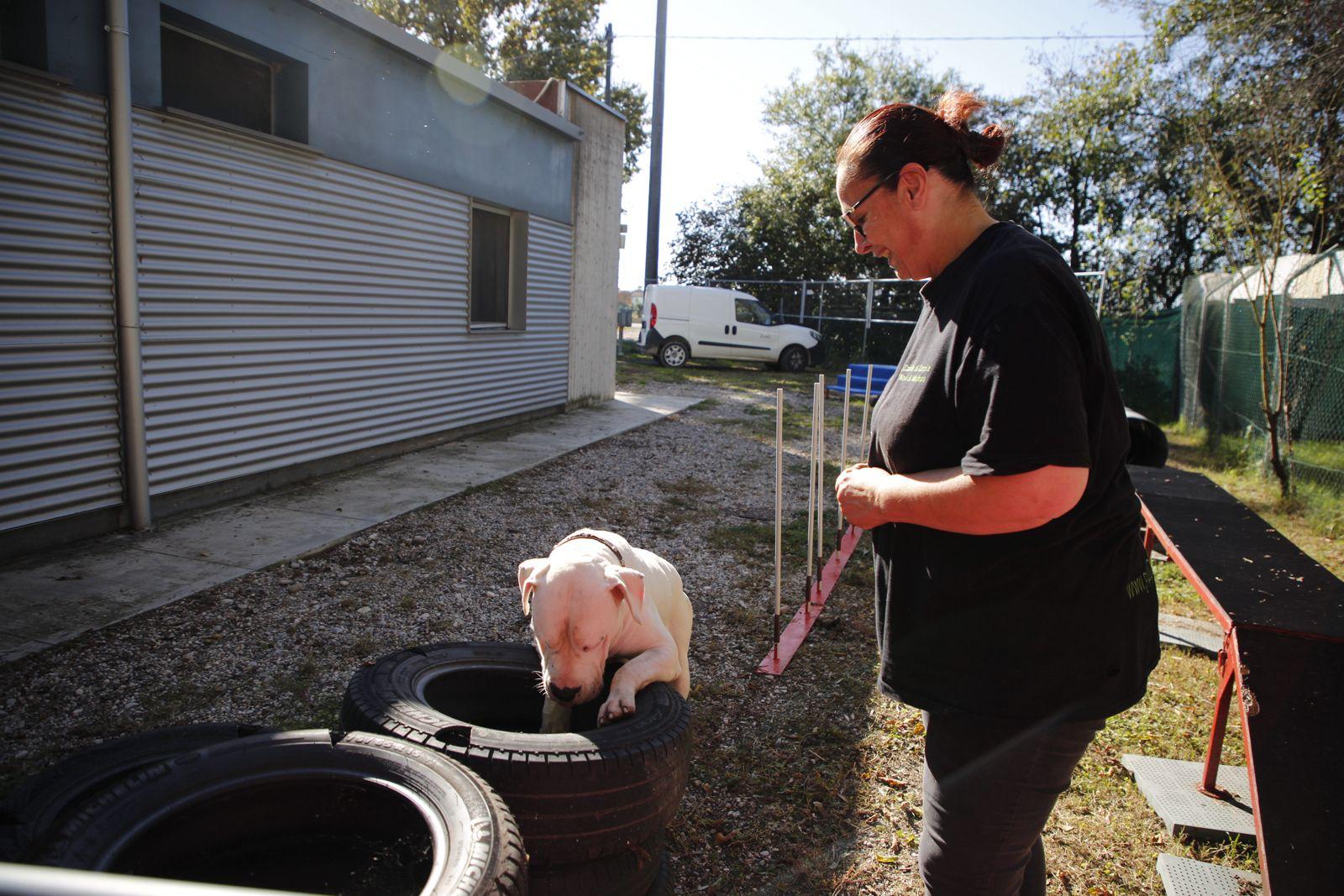 WhatsApp Image 2025-07-15 at 10.24.04_b4479c2f